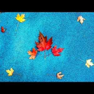 Meet your Posher, Ratul